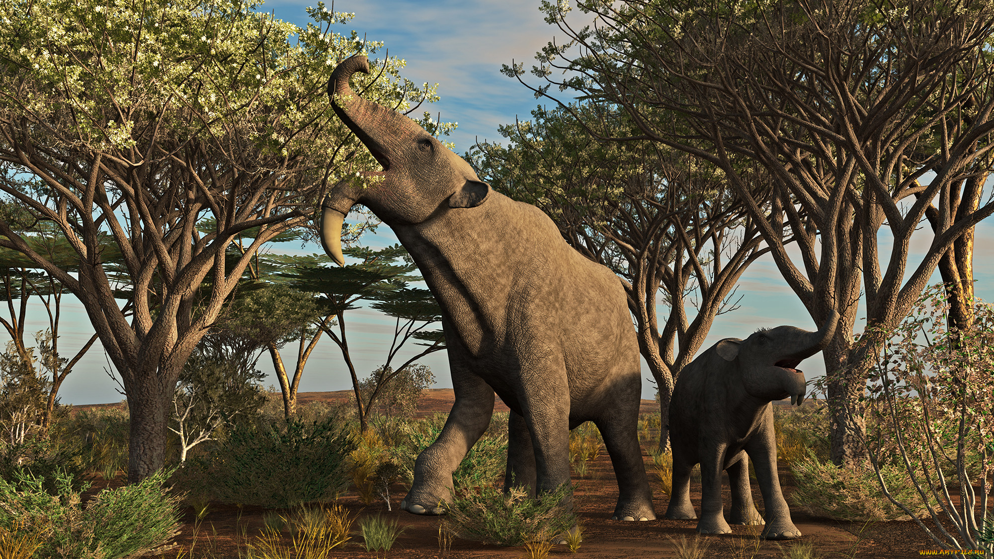 3 ,  , animals, , 